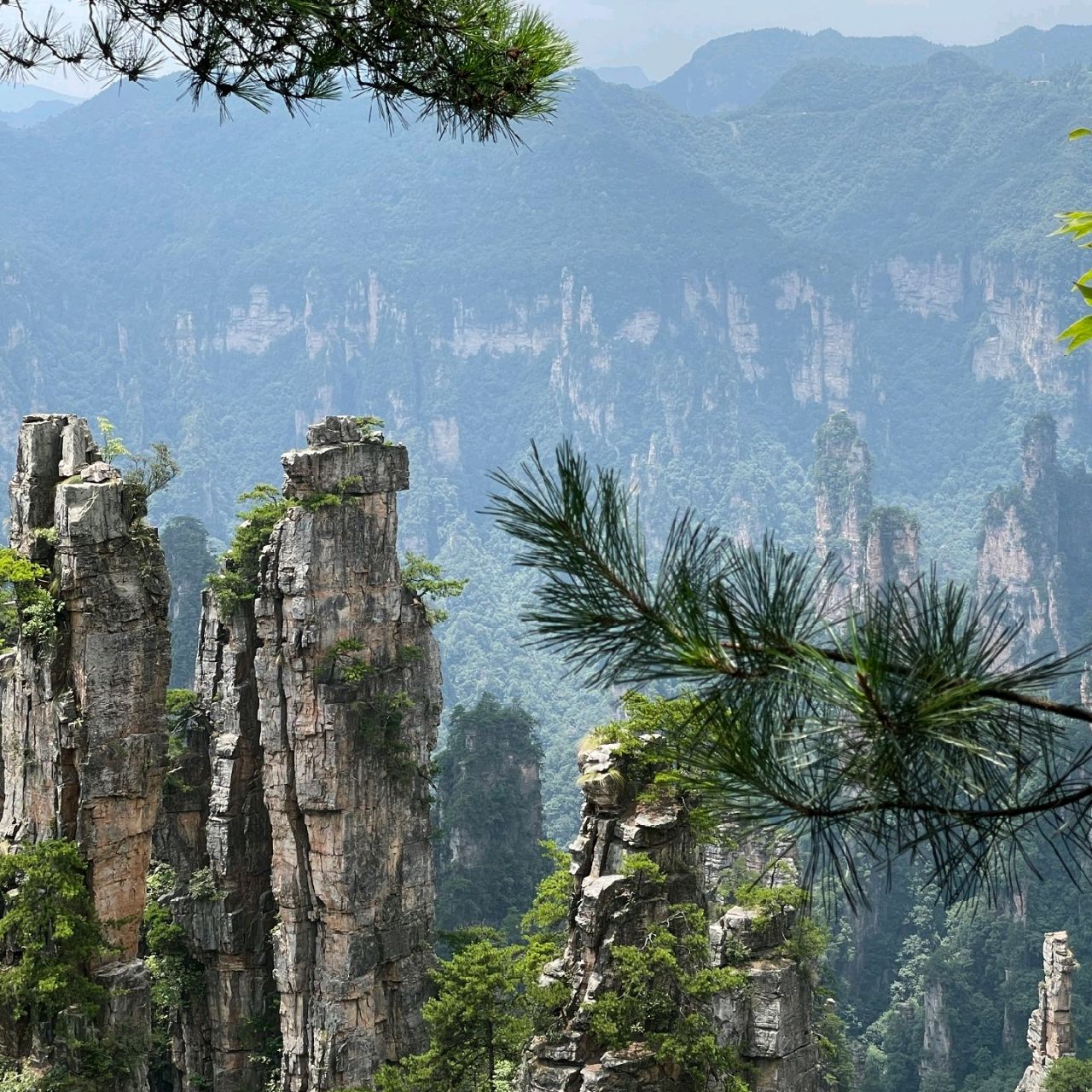 Exploring Zhangjiajie China The land of Avatar #5 Exploring Zhangjiajie China The land of Avatar